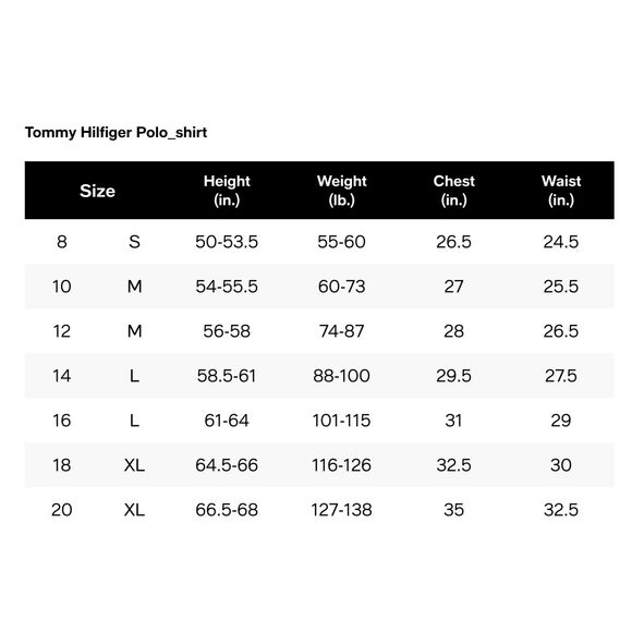 Hilfiger Boys Short Sleeve Stretch Ivy Polo Collared Shirt Sz 16/18 - Picture 3 of 3